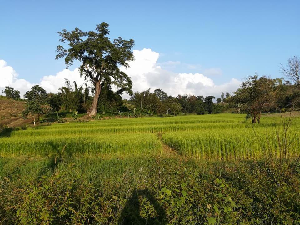 Hotel Shwe Nann Htike Мемьо Экстерьер фото